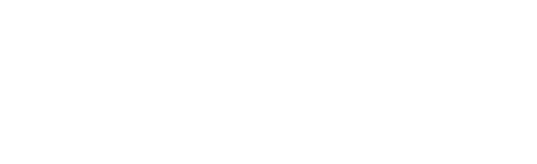 briskbold.ai
