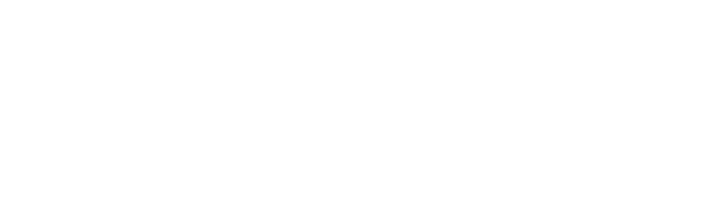 logo briskbold